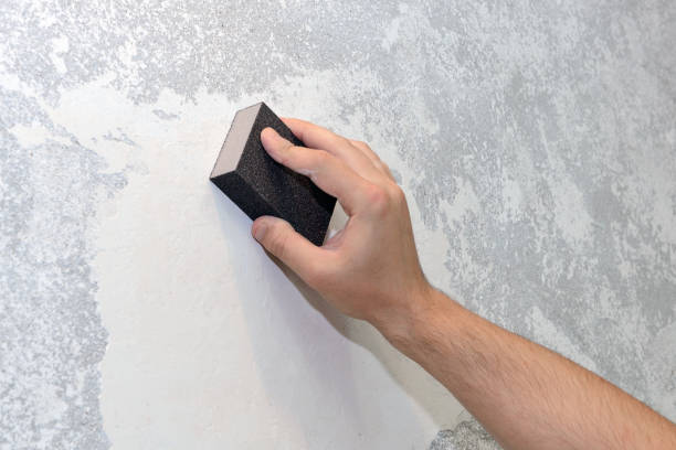 Best Black Mold Removal  in Brook Highland, AL