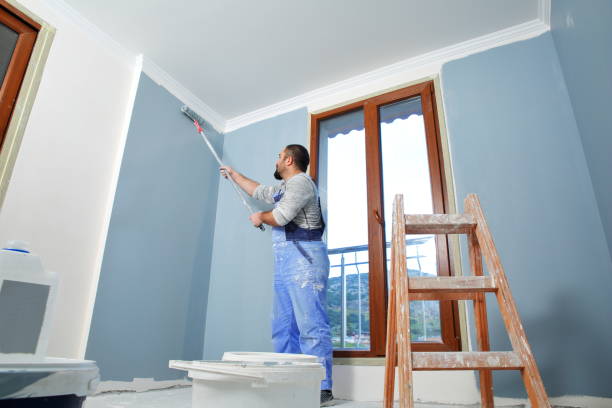 Best Attic Mold Removal  in Brook Highland, AL