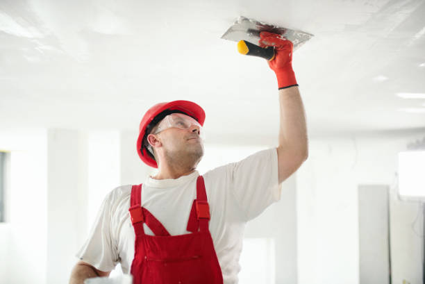 Best Comprehensive Air Testing for Mold Contaminants  in Brook Highland, AL