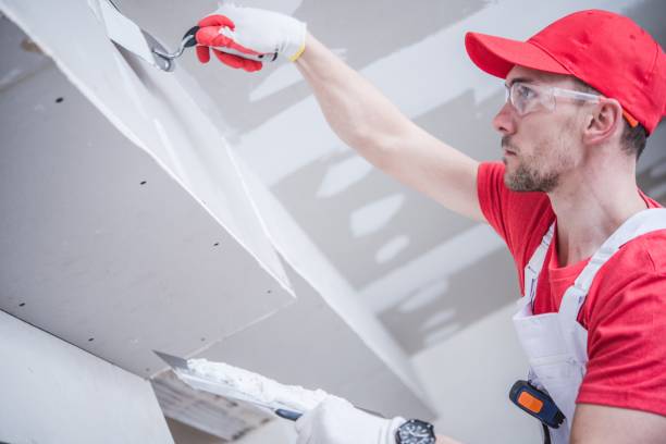 Best Emergency Mold Remediation  in Brook Highland, AL